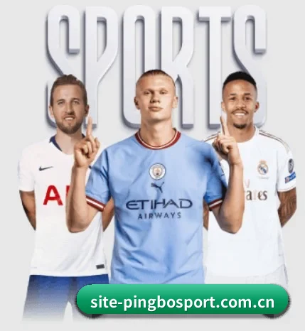 平博体育官网围绕看球场景设计的核心服务